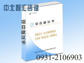 专业项目建议书撰写与信息咨询服务——助力兰州项目顺利启动